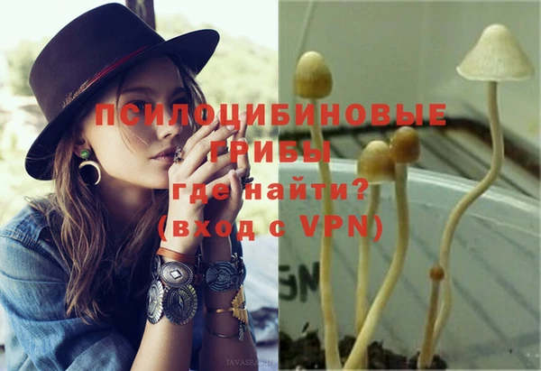 MESCALINE Няндома