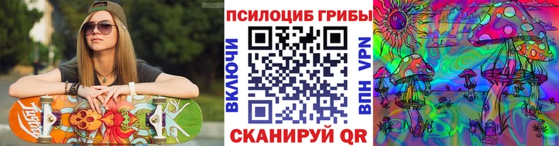 Псилоцибиновые грибы прущие грибы Сычёвка